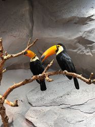 -Zoolung Zoolung动物主题公园(海信广场店)