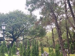 -九龙寨城公园