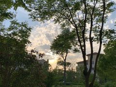 -上海崇明金茂凯悦酒店