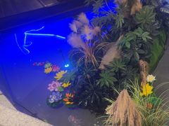 -袁州宴·地道袁州菜(袁山东路店)