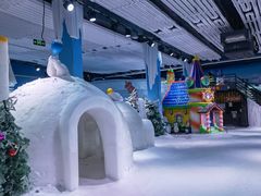 -锦江乐园舞狸花花游园会(夜场专享)