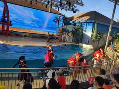 -三亚海昌梦幻海洋不夜城