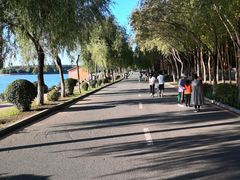 -丁香湖公园