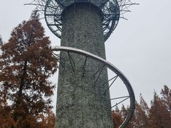 -黄海国家森林公园