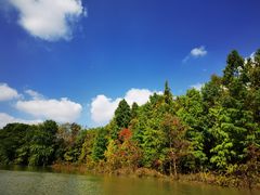 -上海海湾国家森林公园