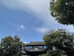 -春色如许·茶食餐厅(桃李春风店)