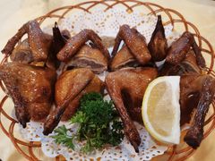 红烧乳鸽-一煲鸽