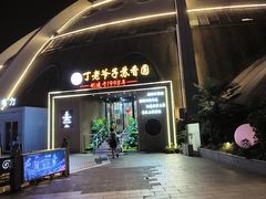 -丁老爷子苏香圆