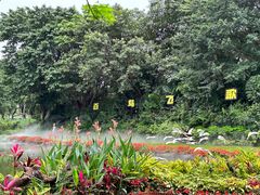 -广州长隆飞鸟乐园