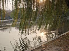 -上海第二工业大学(金海路校区)