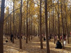 -汉景帝阳陵博物院