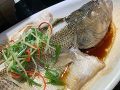 -东方雅典水疗美食汇(金海岸大厦店)