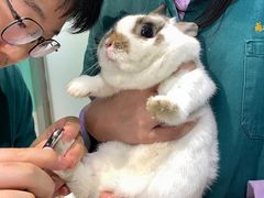 -雨林宠物医院 非犬猫异宠专科