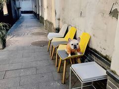 -YECLIP COFFEE黄色回形针咖啡