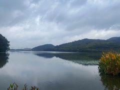 -宁波富邦荪湖山庄