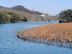 -浙江西湖美术馆