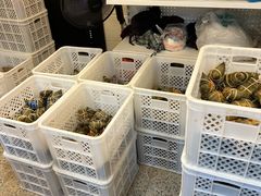 -璐坊粽王(复兴中路店)