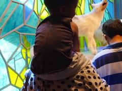 -上海浦西万怡酒店