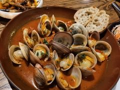 -Apollo·西班牙小酒馆(安福路店)