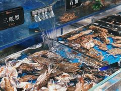 -加餐海鲜自助(宝龙一城店)