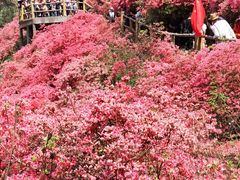 -木兰云雾山