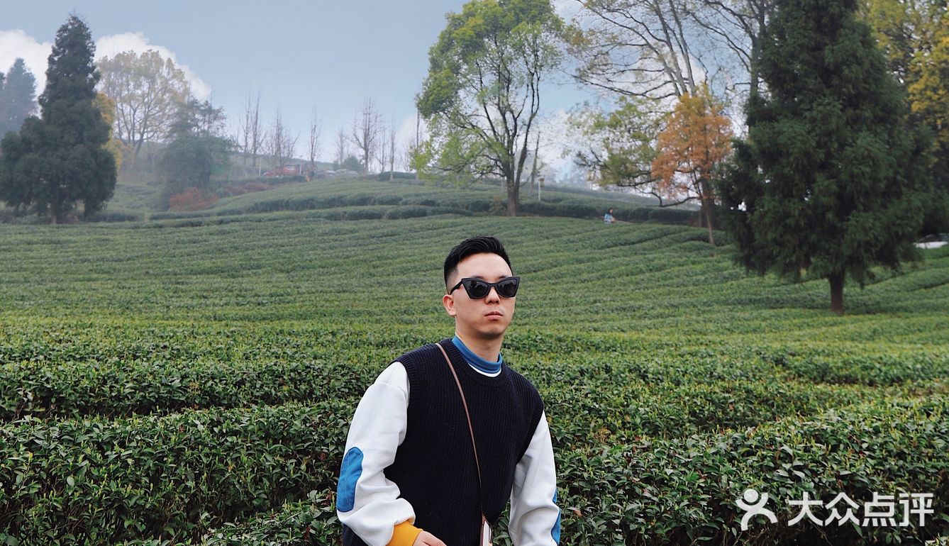 春游踏青好去处｜重庆最美茶园就在这儿🍃