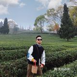 春游踏青好去处｜重庆最美茶园就在这儿🍃