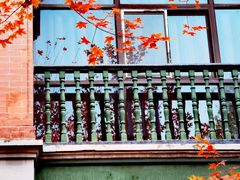 -北京动物园-畅观楼