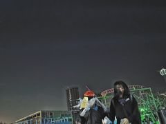-巨鹏飞梦幻海岸