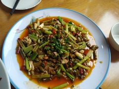 -功夫兔