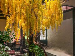 -金链花·泰国餐厅(国贸店)