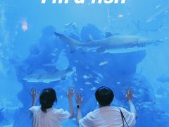 -成都浩海立方海洋公园