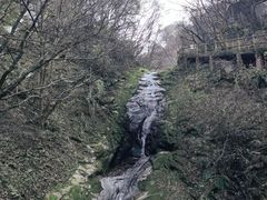 -西安祥峪森林公园