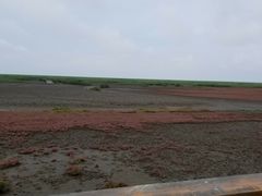-红海滩国家风景廊道