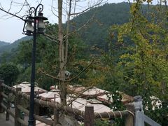 -楠柏弯休闲山庄(梨花溪店)