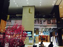 -幸福蓝海国际影城(芜湖IMAX店)