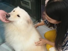 -肆兮眼镜·蔡司·徕卡战略合作店(大坪店)