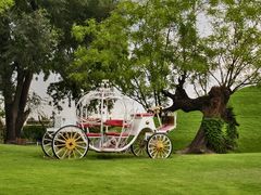 -南通洲际绿博园