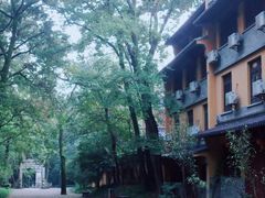 -灵谷景区