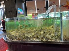 -苏先生海鲜渔庄(金桥店)