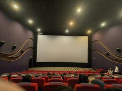 -武汉华夏国际影城(鲁广店)