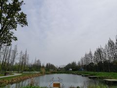-前小桔亲子创意农场·草莓采摘·露营烧烤