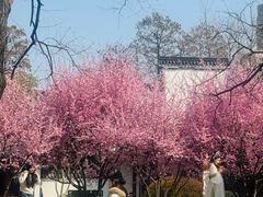 -堤角公园
