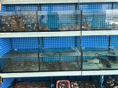 -阿伍海鲜大排档(塔湾金沙店)