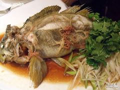 清蒸老鼠斑-Hakkasan(Hanway Place)