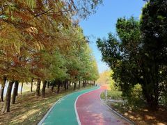 -羊亭河湿地公园