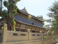 -张掖大佛寺景区