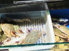 海鲜蟹-聚鑫阁江浙菜·非遗传承技艺(青村帝华园店)