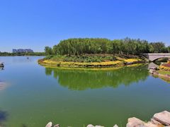 -大兴滨河森林公园