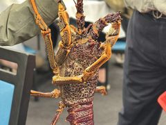-福升海鲜洒楼